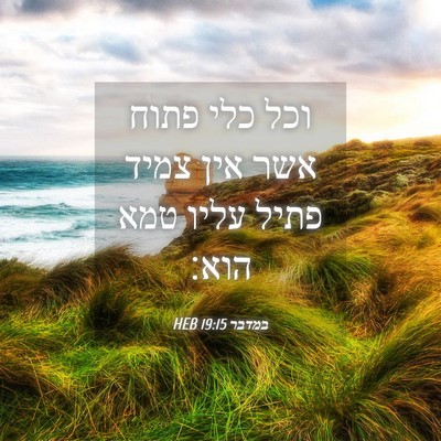Picture 04 - במדבר 19:15 HEB - וכל כלי פתוח אשר אין צמיד - Bible Verse Picture