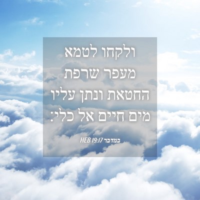 Picture 04 - במדבר 19:17 HEB - ולקחו לטמא מעפר שרפת החטאת - Bible Verse Picture