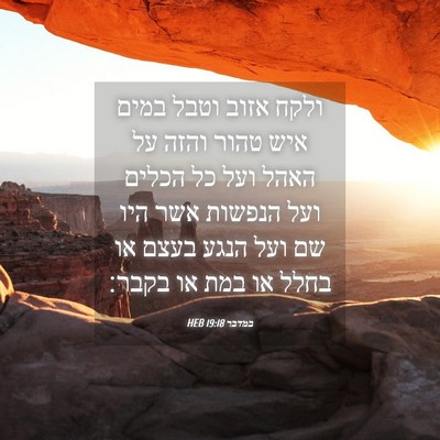 Picture 04 - במדבר 19:18 HEB - ולקח אזוב וטבל במים איש - Bible Verse Picture