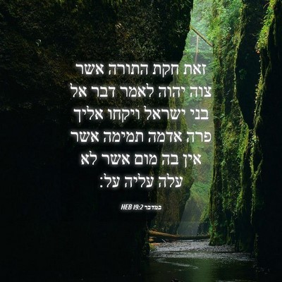 Picture 04 - במדבר 19:2 HEB - זאת חקת התורה אשר צוה יהוה - Bible Verse Picture
