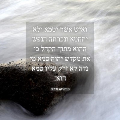 Picture 04 - במדבר 19:20 HEB - ואיש אשר יטמא ולא יתחטא - Bible Verse Picture