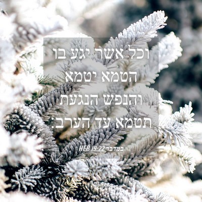 Picture 04 - במדבר 19:22 HEB - וכל אשר יגע בו הטמא יטמא - Bible Verse Picture