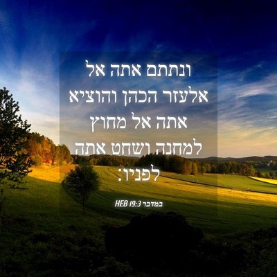 Picture 04 - במדבר 19:3 HEB - ונתתם אתה אל אלעזר הכהן - Bible Verse Picture