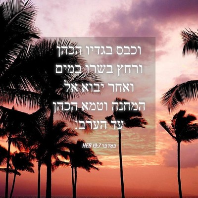 Picture 04 - במדבר 19:7 HEB - וכבס בגדיו הכהן ורחץ בשרו - Bible Verse Picture