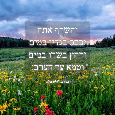 Picture 04 - במדבר 19:8 HEB - והשרף אתה יכבס בגדיו במים - Bible Verse Picture