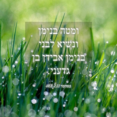 Picture 04 - במדבר 2:22 HEB - ומטה בנימן ונשיא לבני - Bible Verse Picture