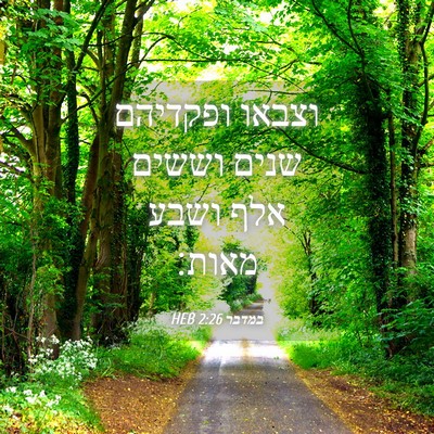 Picture 04 - במדבר 2:26 HEB - וצבאו ופקדיהם שנים וששים - Bible Verse Picture
