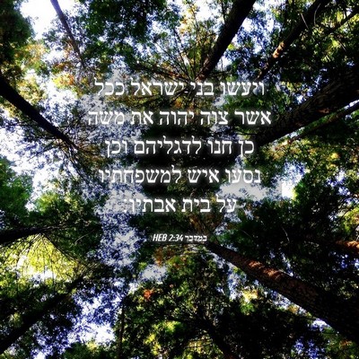 Picture 04 - במדבר 2:34 HEB - ויעשו בני ישראל ככל אשר צוה - Bible Verse Picture