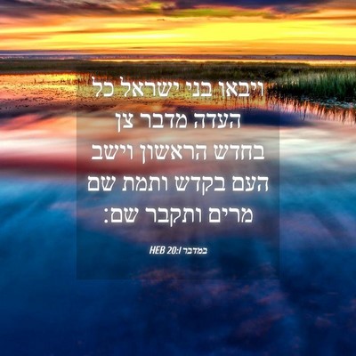 Picture 04 - במדבר 20:1 HEB - ויבאו בני ישראל כל העדה - Bible Verse Picture