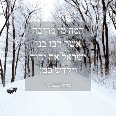 Picture 04 - במדבר 20:13 HEB - המה מי מריבה אשר רבו בני - Bible Verse Picture