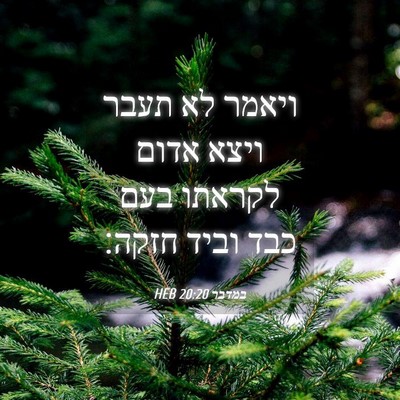 Picture 04 - במדבר 20:20 HEB - ויאמר לא תעבר ויצא אדום - Bible Verse Picture