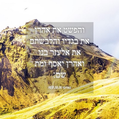 Picture 04 - במדבר 20:26 HEB - והפשט את אהרן את בגדיו - Bible Verse Picture