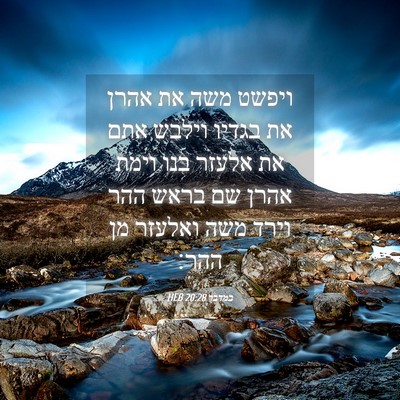 Picture 04 - במדבר 20:28 HEB - ויפשט משה את אהרן את בגדיו - Bible Verse Picture