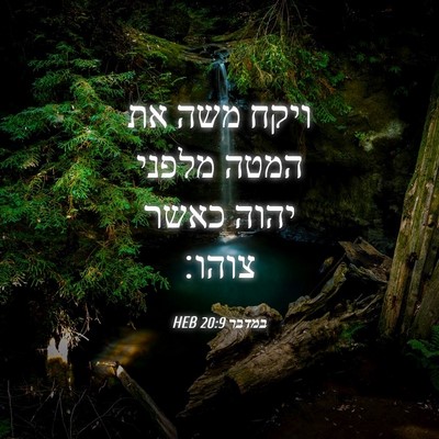 Picture 04 - במדבר 20:9 HEB - ויקח משה את המטה מלפני יהוה - Bible Verse Picture