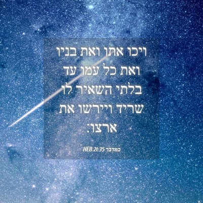 Picture 04 - במדבר 21:35 HEB - ויכו אתו ואת בניו ואת כל - Bible Verse Picture