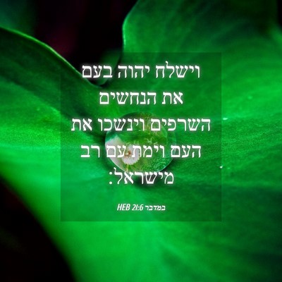 Picture 04 - במדבר 21:6 HEB - וישלח יהוה בעם את הנחשים - Bible Verse Picture