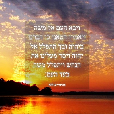 Picture 04 - במדבר 21:7 HEB - ויבא העם אל משה ויאמרו - Bible Verse Picture