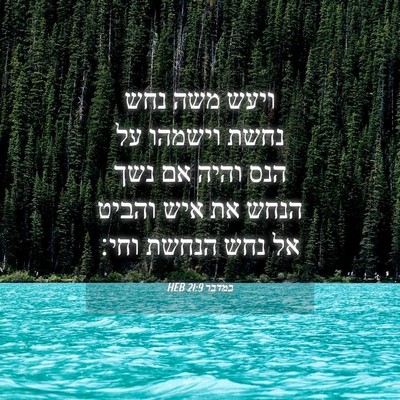 Picture 04 - במדבר 21:9 HEB - ויעש משה נחש נחשת וישמהו על - Bible Verse Picture