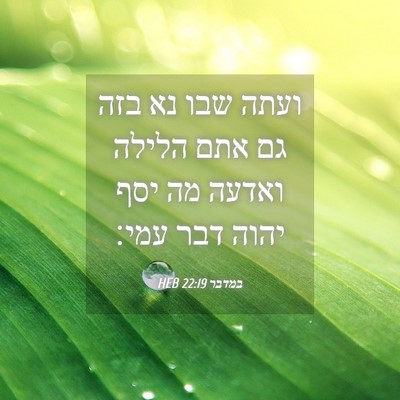 Picture 04 - במדבר 22:19 HEB - ועתה שבו נא בזה גם אתם - Bible Verse Picture