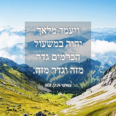 Picture 04 - במדבר 22:24 HEB - ויעמד מלאך יהוה במשעול - Bible Verse Picture