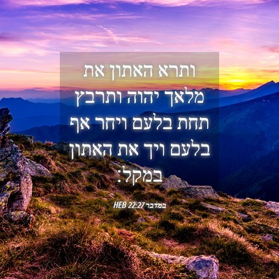 Picture 04 - במדבר 22:27 HEB - ותרא האתון את מלאך יהוה - Bible Verse Picture