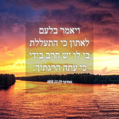 Picture 04 - במדבר 22:29 HEB - ויאמר בלעם לאתון כי התעללת - Bible Verse Picture
