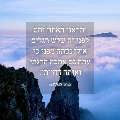 Picture 04 - במדבר 22:33 HEB - ותראני האתון ותט לפני זה - Bible Verse Picture