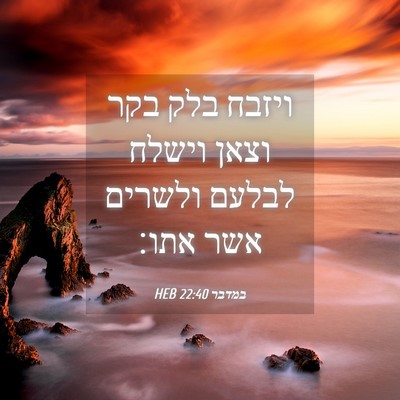Picture 04 - במדבר 22:40 HEB - ויזבח בלק בקר וצאן וישלח - Bible Verse Picture