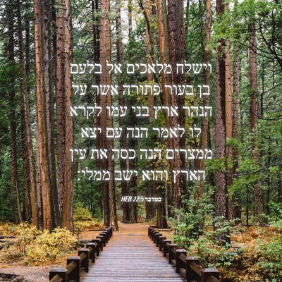 Picture 04 - במדבר 22:5 HEB - וישלח מלאכים אל בלעם בן - Bible Verse Picture