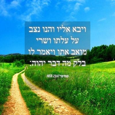 Picture 04 - במדבר 23:17 HEB - ויבא אליו והנו נצב על עלתו - Bible Verse Picture