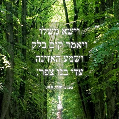 Picture 04 - במדבר 23:18 HEB - וישא משלו ויאמר קום בלק - Bible Verse Picture