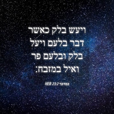 Picture 04 - במדבר 23:2 HEB - ויעש בלק כאשר דבר בלעם ויעל - Bible Verse Picture