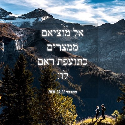 Picture 04 - במדבר 23:22 HEB - אל מוציאם ממצרים כתועפת - Bible Verse Picture