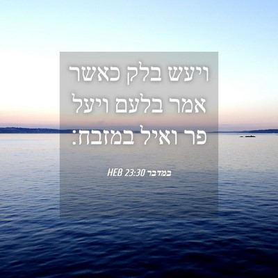 Picture 04 - במדבר 23:30 HEB - ויעש בלק כאשר אמר בלעם ויעל - Bible Verse Picture