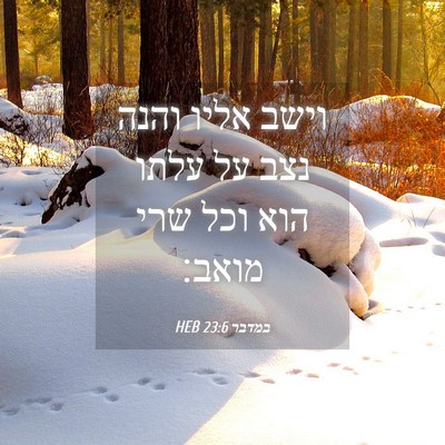 Picture 04 - במדבר 23:6 HEB - וישב אליו והנה נצב על עלתו - Bible Verse Picture