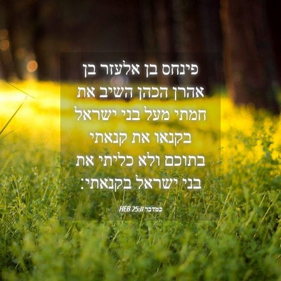 Picture 04 - במדבר 25:11 HEB - פינחס בן אלעזר בן אהרן הכהן - Bible Verse Picture