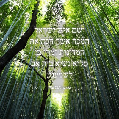 Picture 04 - במדבר 25:14 HEB - ושם איש ישראל המכה אשר הכה - Bible Verse Picture