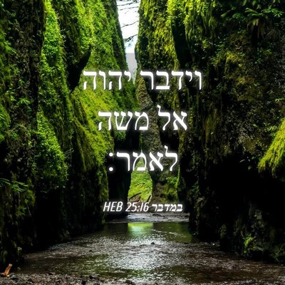 Picture 04 - במדבר 25:16 HEB - וידבר יהוה אל משה - Bible Verse Picture