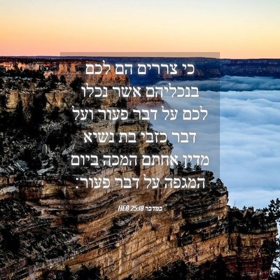 Picture 04 - במדבר 25:18 HEB - כי צררים הם לכם בנכליהם אשר - Bible Verse Picture
