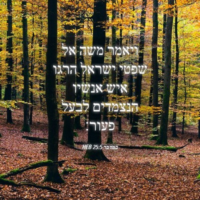 Picture 04 - במדבר 25:5 HEB - ויאמר משה אל שפטי ישראל - Bible Verse Picture