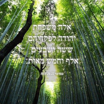 Picture 04 - במדבר 26:22 HEB - אלה משפחת יהודה לפקדיהם - Bible Verse Picture
