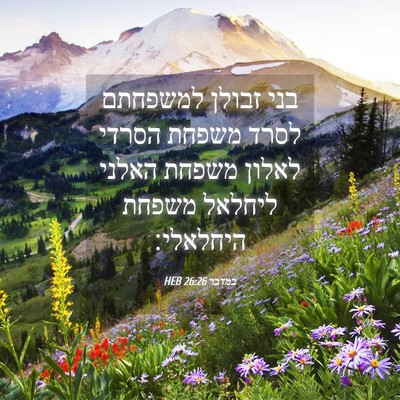 Picture 04 - במדבר 26:26 HEB - בני זבולן למשפחתם לסרד - Bible Verse Picture
