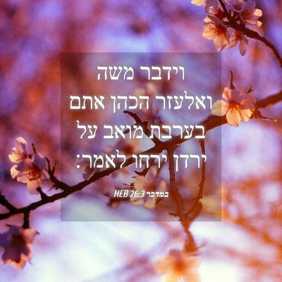 Picture 04 - במדבר 26:3 HEB - וידבר משה ואלעזר הכהן אתם - Bible Verse Picture