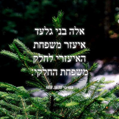 Picture 04 - במדבר 26:30 HEB - אלה בני גלעד איעזר משפחת - Bible Verse Picture
