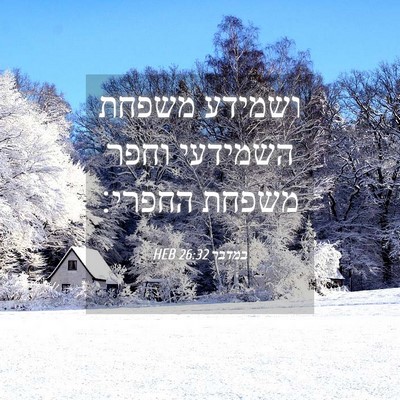 Picture 04 - במדבר 26:32 HEB - ושמידע משפחת השמידעי וחפר - Bible Verse Picture