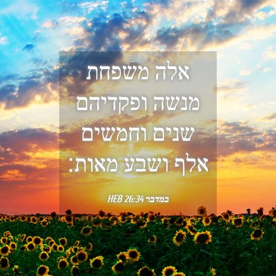 Picture 04 - במדבר 26:34 HEB - אלה משפחת מנשה ופקדיהם - Bible Verse Picture