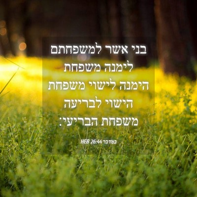 Picture 04 - במדבר 26:44 HEB - בני אשר למשפחתם לימנה - Bible Verse Picture