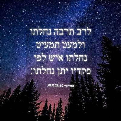 Picture 04 - במדבר 26:54 HEB - לרב תרבה נחלתו ולמעט תמעיט - Bible Verse Picture