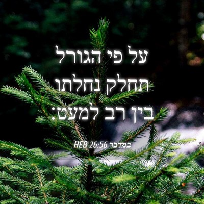 Picture 04 - במדבר 26:56 HEB - על פי הגורל תחלק נחלתו בין - Bible Verse Picture
