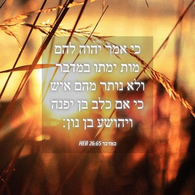 Picture 04 - במדבר 26:65 HEB - כי אמר יהוה להם מות ימתו - Bible Verse Picture